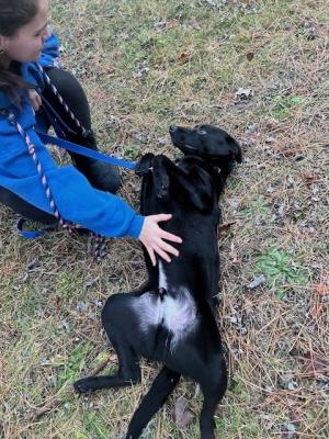 Buddy picture 4
