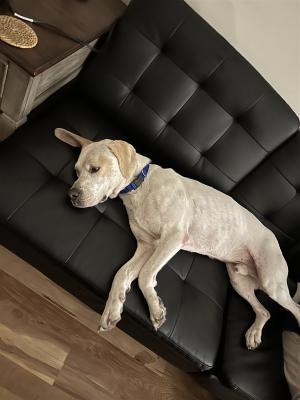 MAX picture 2