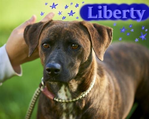 Liberty picture 1