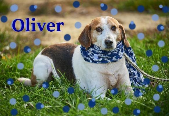 Oliver picture 1