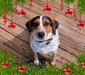 Maggie picture 2
