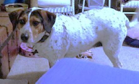 Maggie picture 4
