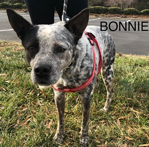 Bonnie picture 3