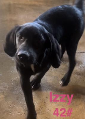 Izzy picture 3