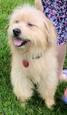 Benji picture 3