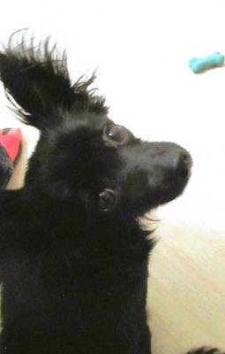 Leona picture 3