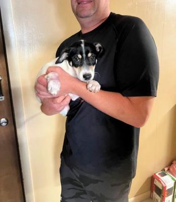 Ripley picture 1
