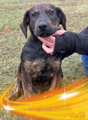 Zeus picture 2