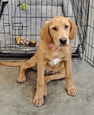 Baylee picture 2