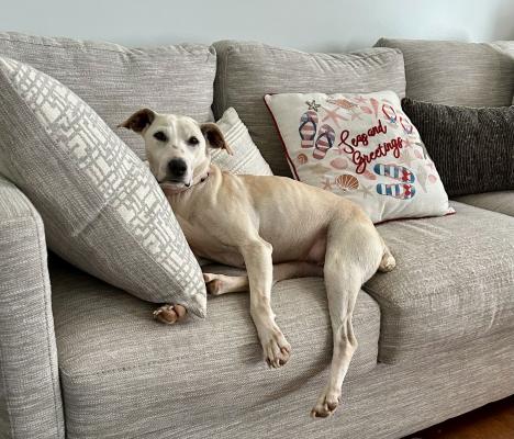 Bree picture 2