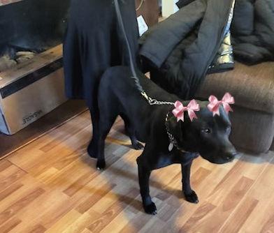 Maggie picture 3