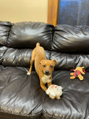 Sasser a cute, tiny tot picture 2