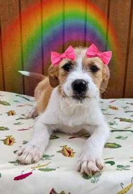 KACI picture 2