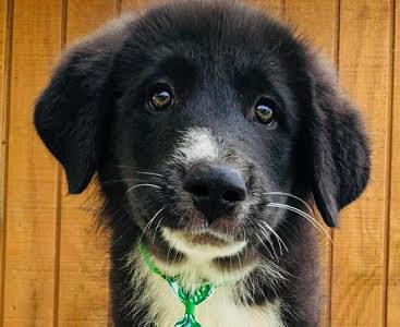 Timmy picture 3