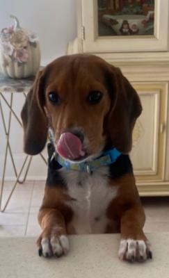 Buster picture 3