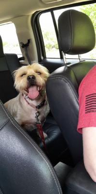 Libby picture 2
