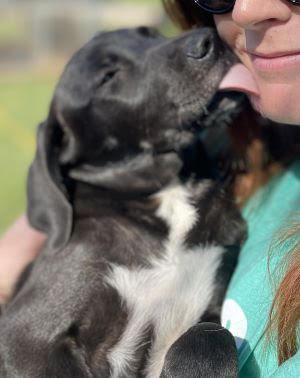 NORA picture 1