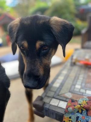 Chance picture 2