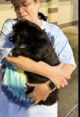 Scotty , Scotty picture 3