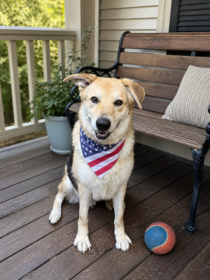 ODDIE, picture 3