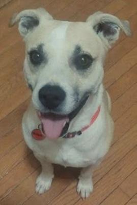 Bernie picture 1