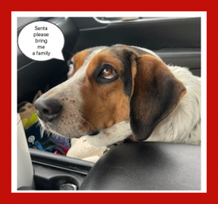 Maggie picture 1