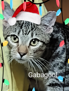 Gabagool picture 1