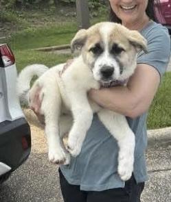 Gracie picture 1