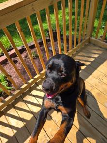 Zena picture 1