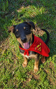 CROUTON picture 1